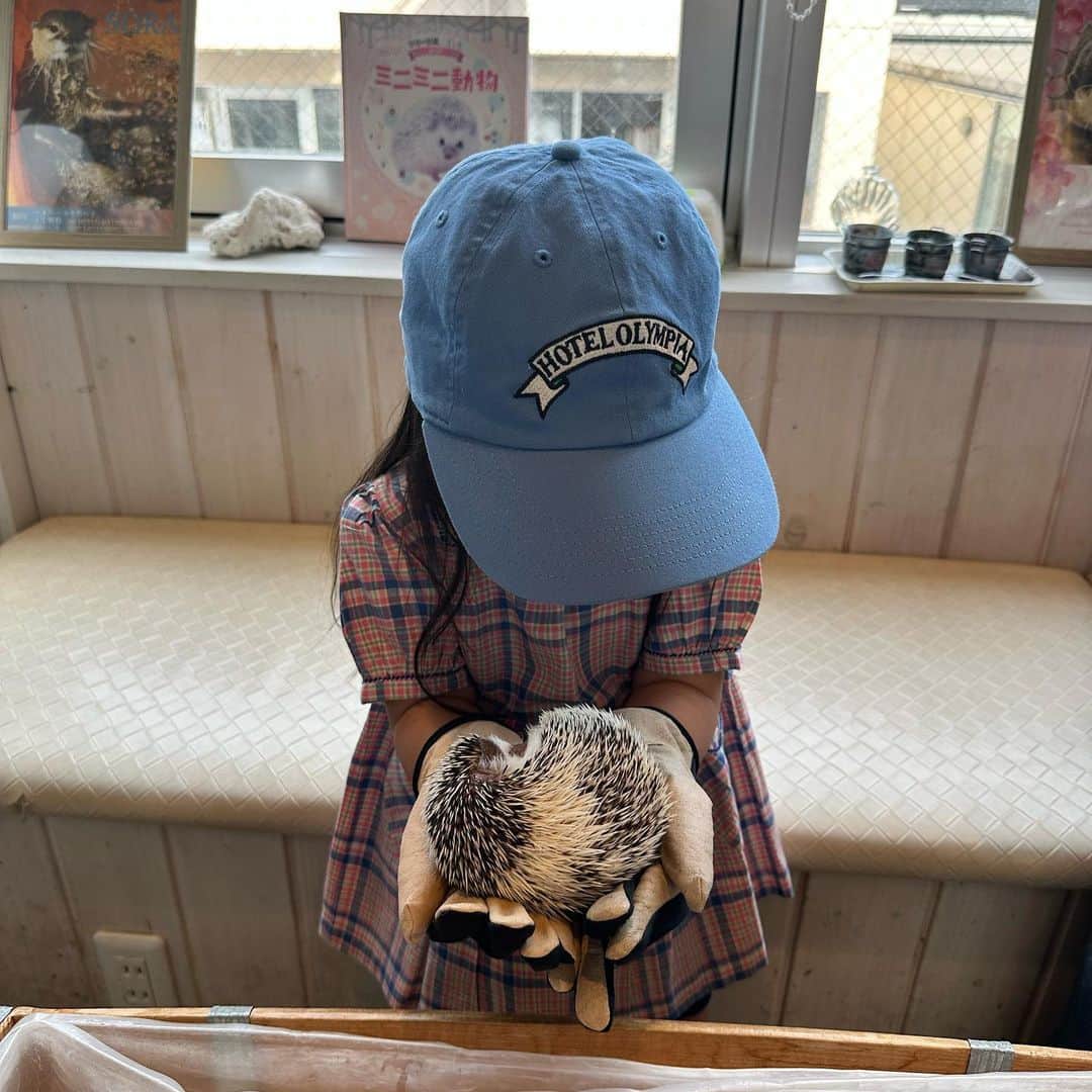 オランピアルタンさんのインスタグラム写真 - (オランピアルタンInstagram)「Coffee and hedgehogs with my best friend @iam.cocoro 🦔💕☕️ and her beautiful mama @uakimoto 🏩 Oh and I high fived an otter too 🥰🦦✋🏻 #harinezumi #kawauso #totorolatte」5月4日 7時21分 - olympialetan