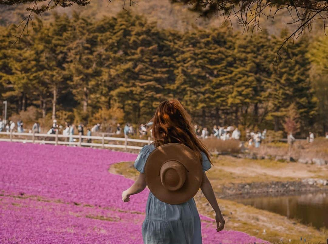 シドニー・シエロタさんのインスタグラム写真 - (シドニー・シエロタInstagram)「I will never get over how beautiful this was 😭🌸🌷🎀💖🫶🏻  #mtfuji」5月4日 8時13分 - sydneysierota