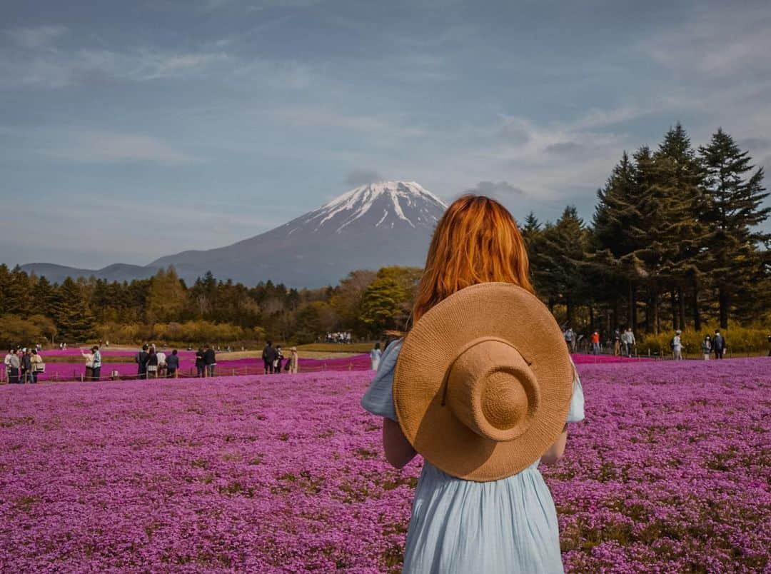 シドニー・シエロタさんのインスタグラム写真 - (シドニー・シエロタInstagram)「I will never get over how beautiful this was 😭🌸🌷🎀💖🫶🏻  #mtfuji」5月4日 8時13分 - sydneysierota