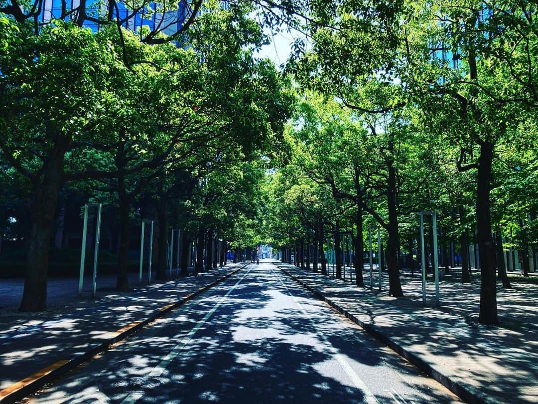 宇田川大輔のインスタグラム：「本日の朝ラン #朝ラン #running #城南エリア」