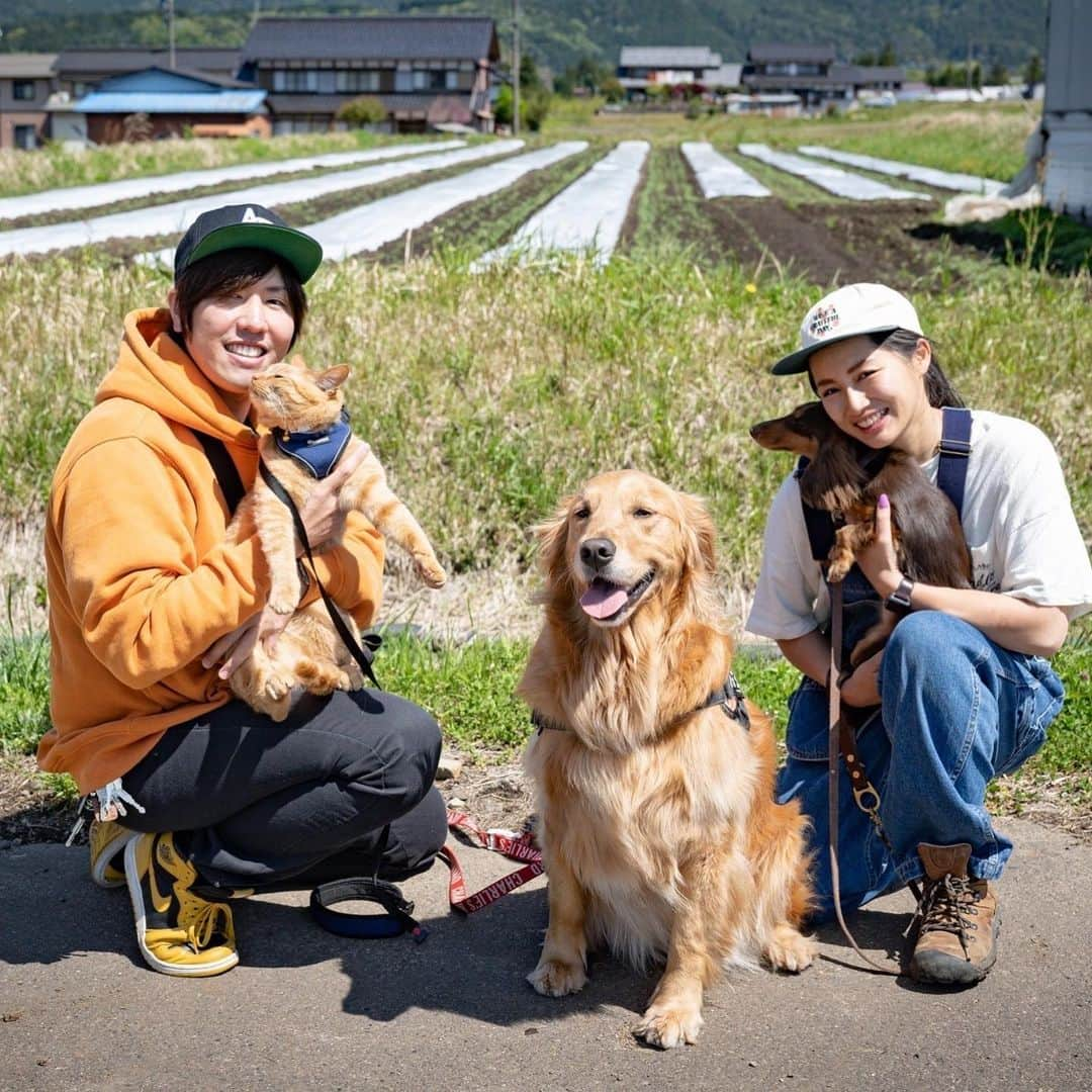 清水香澄さんのインスタグラム写真 - (清水香澄Instagram)「. なんとー！イヌベジから、 ぺろりんず！さんとのコラボ商品 「郡上天然鮎のごはん」 が販売決定しました🐟♪ @yomogi_tochan   2ヶ月程前から 何回も試作と打ち合わせを繰り返して めちゃくちゃいいものが完成しました！  鮎は郡上の長良川で獲れた天然鮎をひとつひとつ手作業で鮎のはらわた、小骨を取り除いて2度加熱してます♪  鮎には抗酸化作用の強いビタミンEが多く入っているので、免疫向上、アンチエイジングなど、パピーからシニアまでわんちゃんにとってめちゃくちゃいい成分がたっくさん含まれてるよ！  わんちゃん飼っている方へのプレゼントなどにもピッタリ🐶🎁  限定50セットなのでお早めにご注文してください♡  そしてなんと！ 5/20&21に開催される @fieldstyle_official  にも出店決定！  ぺろりんず！さんもイヌベジのブースに立ってくださいます♪  みなさん会いにきてねー！  #イヌベジ #手作り犬ごはん #fieldstyle」5月4日 8時35分 - kasumin_0107