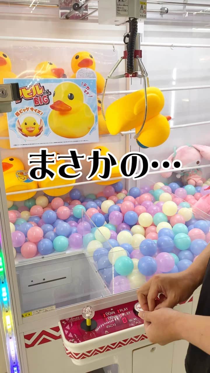 太陽チャンネルのインスタグラム：「まさかの100円一発獲り！！🐥⸒⸒ ありがとうーいらっしゃいー ちゃんとお風呂に浮くよ🛀💕 #回遊館 #クレゲ #ゴトン #ゴトン病 #一発シリーズ #回遊館鳥取 #Amazing」