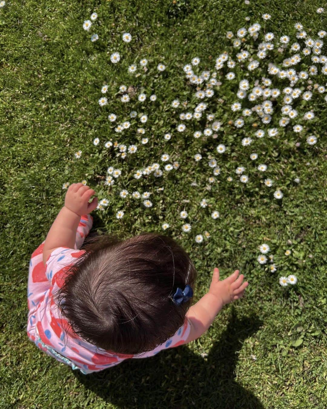 エマリン・エストラーダのインスタグラム：「a beautiful day in my beautiful life 🫶」