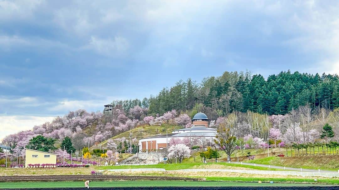 あかん遊久の里 鶴雅さんのインスタグラム写真 - (あかん遊久の里 鶴雅Instagram)「阿寒湖温泉街から北見方面に向かう方へ、桜スポットのご紹介です。 阿寒湖温泉の２つ隣の町、美幌町にある「みどりの村森林公園キャンプ場」の桜が見頃を迎えています。 今年は例年より桜の開花が早く、ゴールデンウィークのタイミングでお花見ができるのが嬉しいですね♪  ♨︎------------------------- 北海道の自然を満喫できる旅館  　 🏨 #あかん遊久の里鶴雅 📍北海道釧路市阿寒湖温泉 ご予約・詳細はプロフィールのリンクからお願いします✈︎ ---------------------------♨︎  #北海道#道東#北海道旅行#北海道観光#温泉旅行#鶴雅#鶴雅リゾート#遊久の里鶴雅#japantravel#hokkaido#hokkaidotrip」5月4日 10時00分 - tsuruga_akan