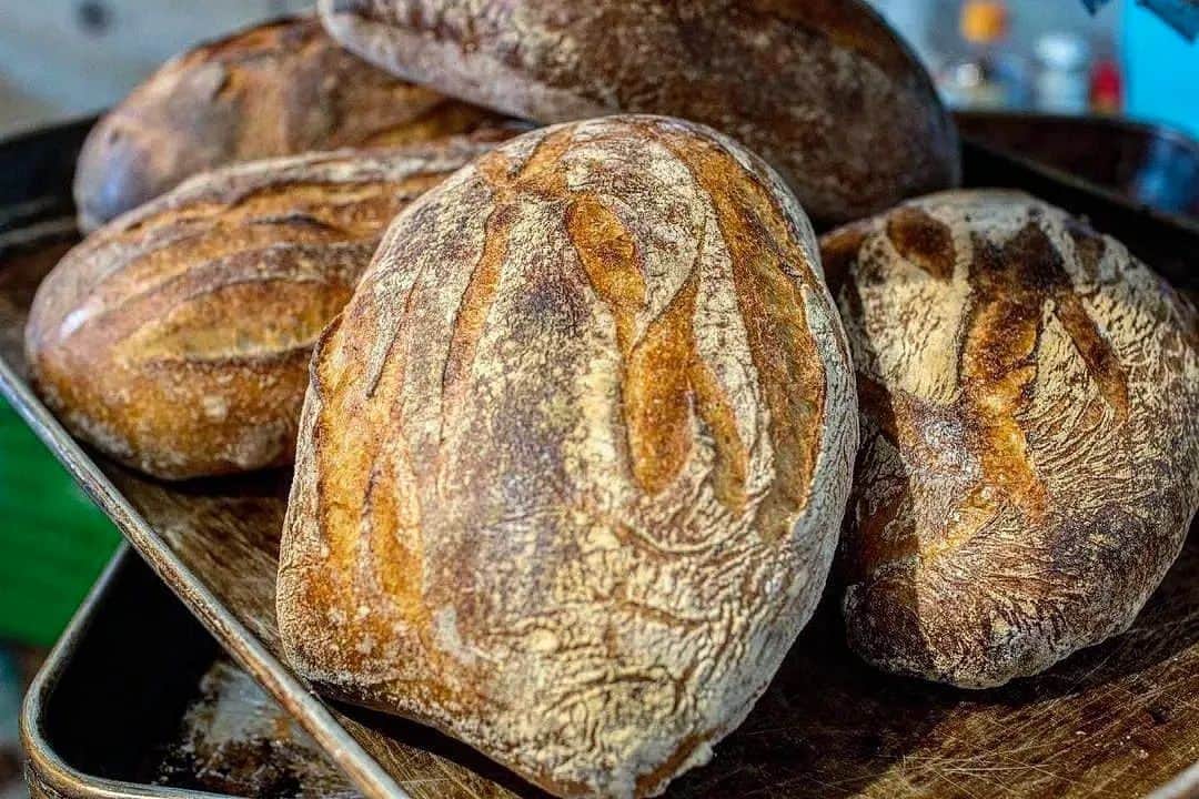 笹塚駅のパン屋さん オパンのグルメインスタ