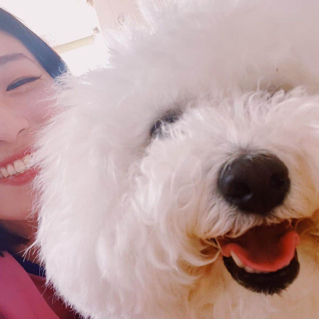 さえりのインスタグラム：「きみたちがだいすきなのよ」