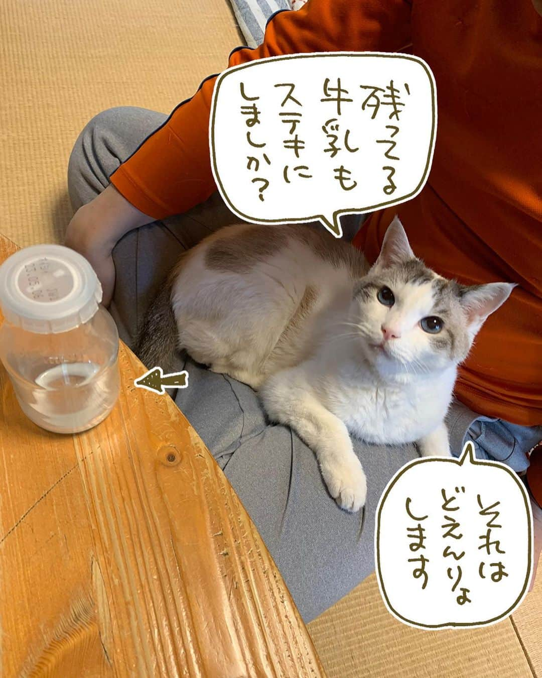 くるねこ大和さんのインスタグラム写真 - (くるねこ大和Instagram)「何でもステキにできましよ  #胡ぼん」5月4日 10時38分 - kuru0214neko