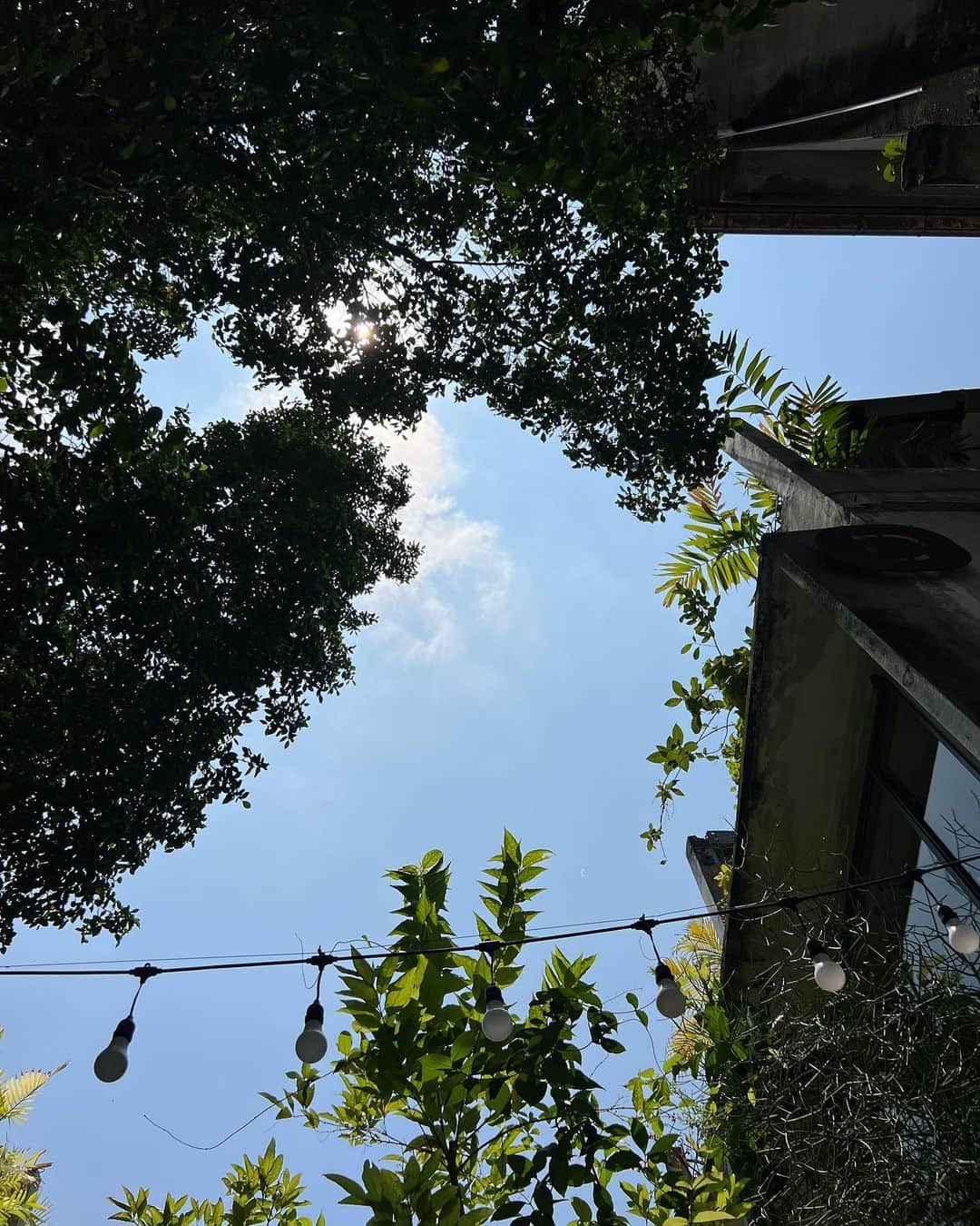 イプシー・キーラティのインスタグラム：「🤍🍃」