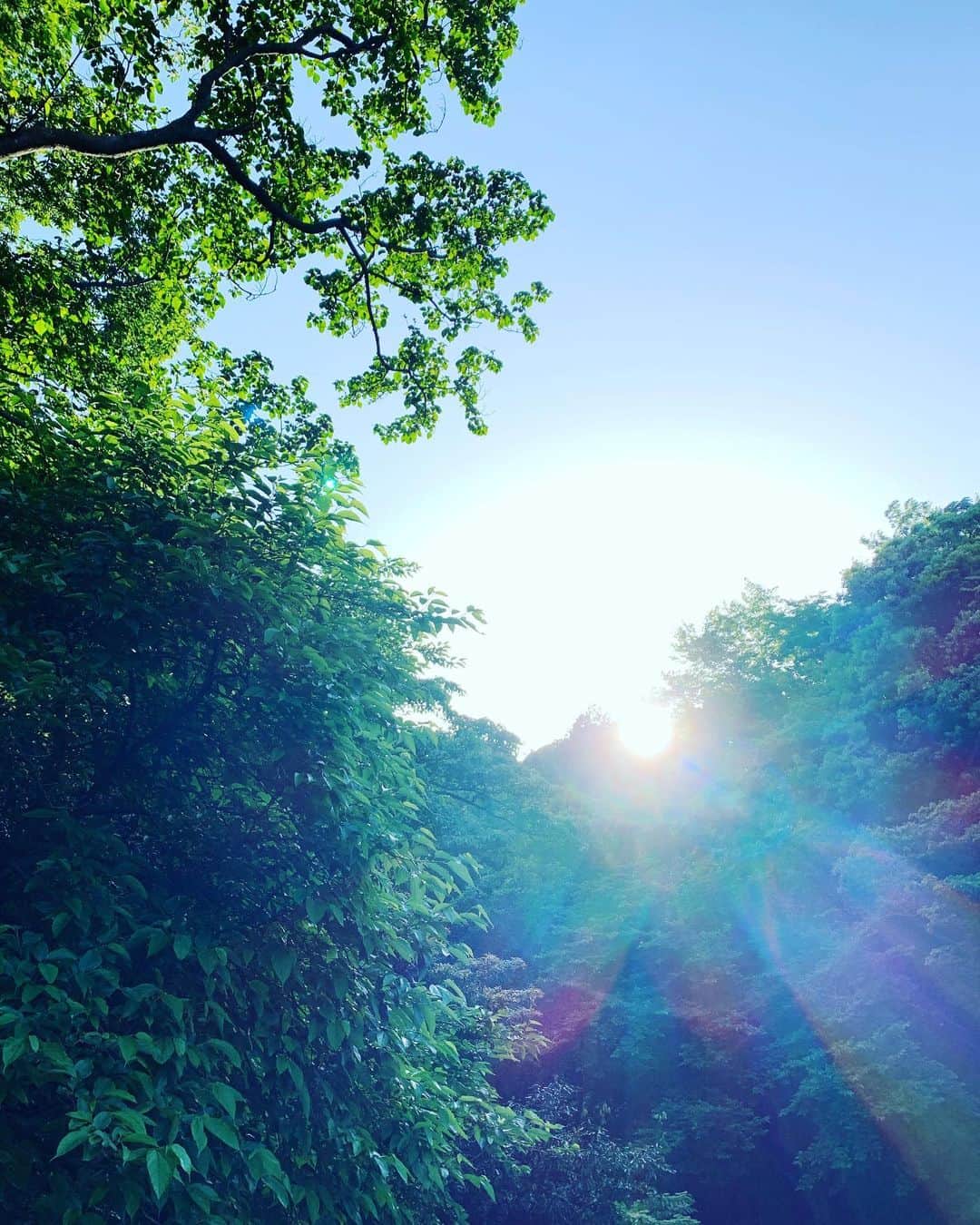 河口恭吾さんのインスタグラム写真 - (河口恭吾Instagram)「気持ちの良い青空  今夜９時からインスタライブやります。GWですが、タイミング合えば宜しくお願いします！  #GWインスタライブ　#インスタライブ　#シンガーソングライター」5月4日 16時13分 - kawaguchikyogo