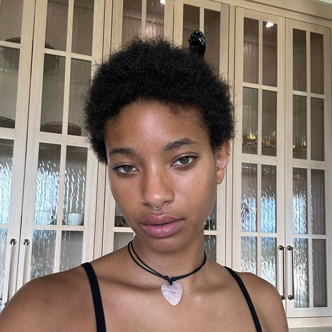 ウィロー・スミスさんのインスタグラム写真 - (ウィロー・スミスInstagram)「I’m tryna buy my neighbor house」5月4日 10時47分 - willowsmith