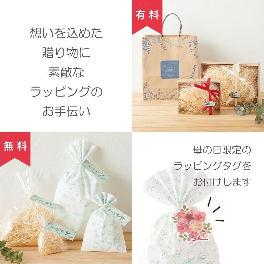 シャンブルオフィシャルのインスタグラム