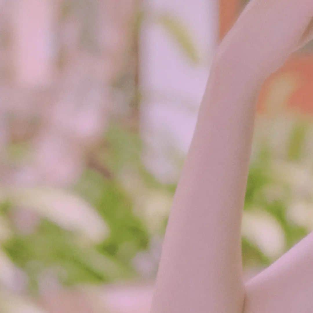 CéCi Koreaのインスタグラム