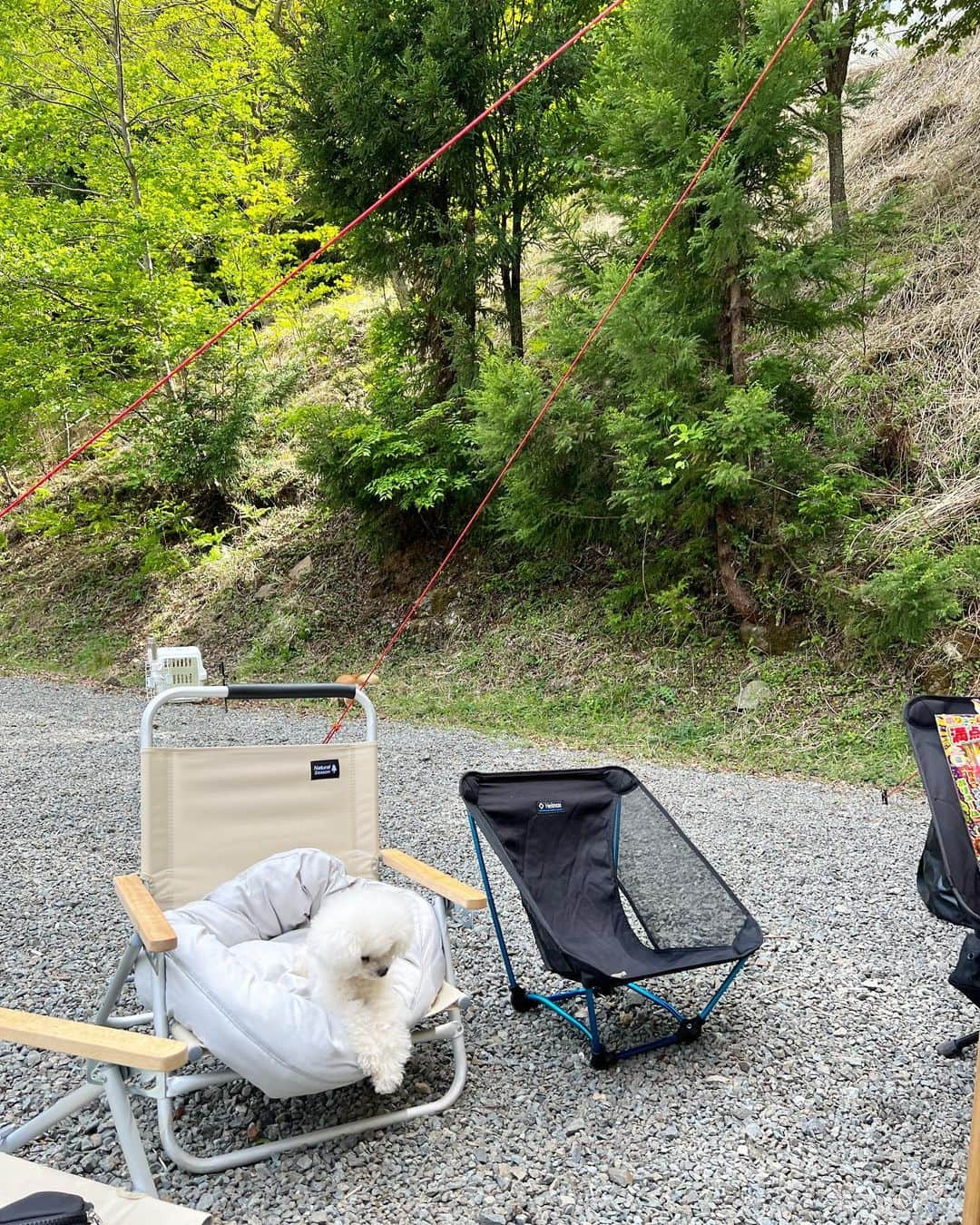 福井仁美さんのインスタグラム写真 - (福井仁美Instagram)「🏕＋🧖🏾‍♀️＋🔥＋🍜  学生時代の友達家族と、これ以上ない最高の週末。  プロたちに全部やってもらい至れり尽くせり。おかげでキャンプにハマりそう。  子供の時、家族でキャンプしながら食べたチキンラーメンは、大人になっても最高のご馳走でした🐣  #キャンプ #sauna」5月4日 11時44分 - hitton28