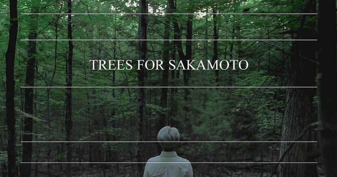 坂本龍一のインスタグラム：「re-post @trees_for_skmt  We are preparing to carry on Ryuichi Sakamoto's legacy with TREES FOR SAKAMOTO, a donation platform for tree-planting initiatives.  Once the donation recipients and system have been established, we will start accepting donations here on our website.  We will keep you informed with updates on our social media channels, so please stay tuned and bear with us for a little while. 　　 　　 坂本龍一の思いを継ぐ、植樹のためのドネーションプラットフォーム《TREES FOR SAKAMOTO》を準備中です。 寄付先の選定、システムが整い次第、受付を開始いたします。情報に関しては、SNSにて随時発信していきますので、少しの間、お待ちいただければと思います。 　　　　 　　　 为继承坂本龙一的意愿，我们正在准备植树捐赠平台“TREES FOR SAKAMOTO”的设立。　　 在与接受捐赠的机构协调完毕并完成系统调试后，将在此正式开始接受捐款。我们将随时通过社交媒体发布相关信息，还请您稍作等待。 　　　　　 https://trees4skmt.org/  Link in bio. 　　 #坂本龍一 #ryuichisakamoto #skmtnews #trees4skmt #moretrees」