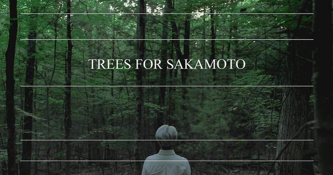 坂本龍一さんのインスタグラム写真 - (坂本龍一Instagram)「re-post @trees_for_skmt  We are preparing to carry on Ryuichi Sakamoto's legacy with TREES FOR SAKAMOTO, a donation platform for tree-planting initiatives.  Once the donation recipients and system have been established, we will start accepting donations here on our website.  We will keep you informed with updates on our social media channels, so please stay tuned and bear with us for a little while. 　　 　　 坂本龍一の思いを継ぐ、植樹のためのドネーションプラットフォーム《TREES FOR SAKAMOTO》を準備中です。 寄付先の選定、システムが整い次第、受付を開始いたします。情報に関しては、SNSにて随時発信していきますので、少しの間、お待ちいただければと思います。 　　　　 　　　 为继承坂本龙一的意愿，我们正在准备植树捐赠平台“TREES FOR SAKAMOTO”的设立。　　 在与接受捐赠的机构协调完毕并完成系统调试后，将在此正式开始接受捐款。我们将随时通过社交媒体发布相关信息，还请您稍作等待。 　　　　　 https://trees4skmt.org/  Link in bio. 　　 #坂本龍一 #ryuichisakamoto #skmtnews #trees4skmt #moretrees」5月4日 12時32分 - skmtgram