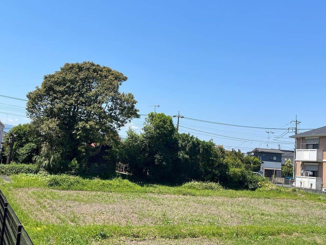 おんむすのグルメインスタ