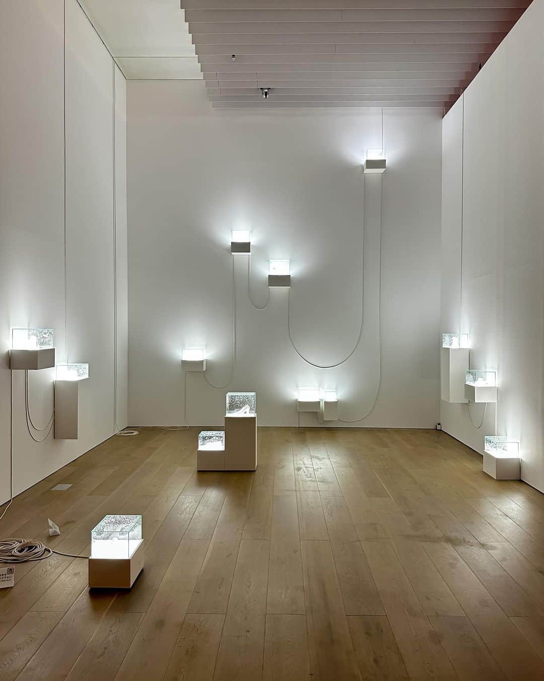 森美術館のインスタグラム：「【連休のおでかけは森美術館へ】 森美術館開館20周年記念展 「ワールド・クラスルーム：現代アートの国語・算数・理科・社会」開催中！  本展は、学校で習う教科を現代アートの入口とし、見たことのない、知らなかった世界に多様な観点から出会う試みです。展覧会のセクションは「国語」、「社会」、「哲学」、「算数」、「理科」、「音楽」、「体育」、「総合」に分かれていますが、実際それぞれの作品は複数の科目や領域に通じています。また、当館の企画展としては初めて、出展作品約150点の半数以上を森美術館のコレクションが占める一方、本展のための新作も披露され、54組のアーティストによる学びの場、「世界の教室」が創出されます。  ”WORLD CLASSROOM: Contemporary Art through School Subjects”, commemorating the 20th anniversary of the Mori Art Museum, is an attempt for us to encounter a world we have never seen or known from a wide variety of perspectives, using the subjects we learn at school as a gateway to contemporary art. Even though this exhibition is divided into such sections as “Language and Literature,” “Social Studies,” “Philosophy,” “Mathematics,” “Science,” “Music,” “Phys. Ed.,” and “Transdis  宮永愛子 《Root of Steps》 2023年 制作協力：信越化学工業株式会社   Miyanaga Aiko  "Root of Steps" 2023  Production support: Shin-Etsu Chemical Co., Ltd.  Courtesy: Mizuma Art Galler y, Tokyo  Installation view: "WORLD CLASSROOM: Contemporary Art through School Subjects", Mori Art Museum, Tokyo, 2023  @aiko.miyanaga  #ワールドクラスルーム展 #WORLDCLASSROOMexhibition #森美術館 #moriartmuseum #TokyoMuseums」