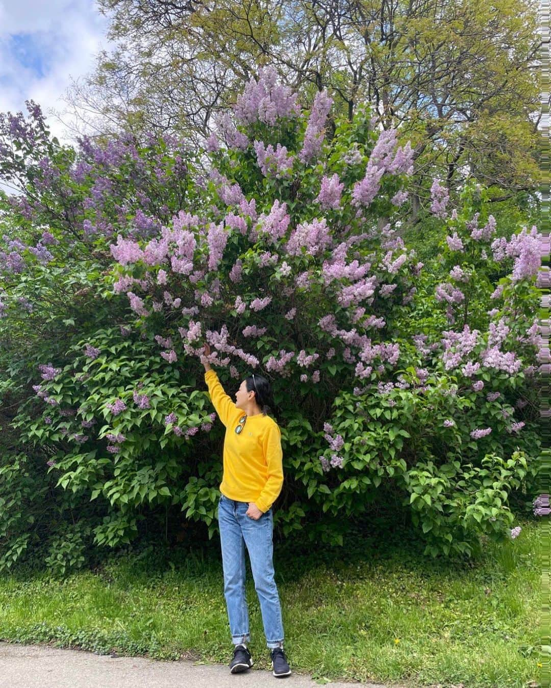 パク・チニさんのインスタグラム写真 - (パク・チニInstagram)「얼마전, 바람을 타고 전해지는 라일락향기에 이끌려왔는데 이렇게 큰 라일락 나무를 만났어요😍 . 라일락의 꽃말은 젊은날의 추억이래요! . 라일락의 향기 오래오래 간직하고 싶네요! 오늘도 좋은 하루 보내세요! . . #라일락 , 오늘 갑자기 #갬성적」5月4日 13時35分 - eco_jini