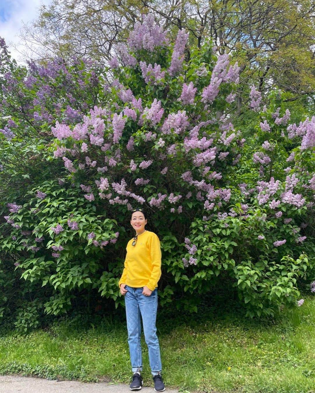 パク・チニさんのインスタグラム写真 - (パク・チニInstagram)「얼마전, 바람을 타고 전해지는 라일락향기에 이끌려왔는데 이렇게 큰 라일락 나무를 만났어요😍 . 라일락의 꽃말은 젊은날의 추억이래요! . 라일락의 향기 오래오래 간직하고 싶네요! 오늘도 좋은 하루 보내세요! . . #라일락 , 오늘 갑자기 #갬성적」5月4日 13時35分 - eco_jini