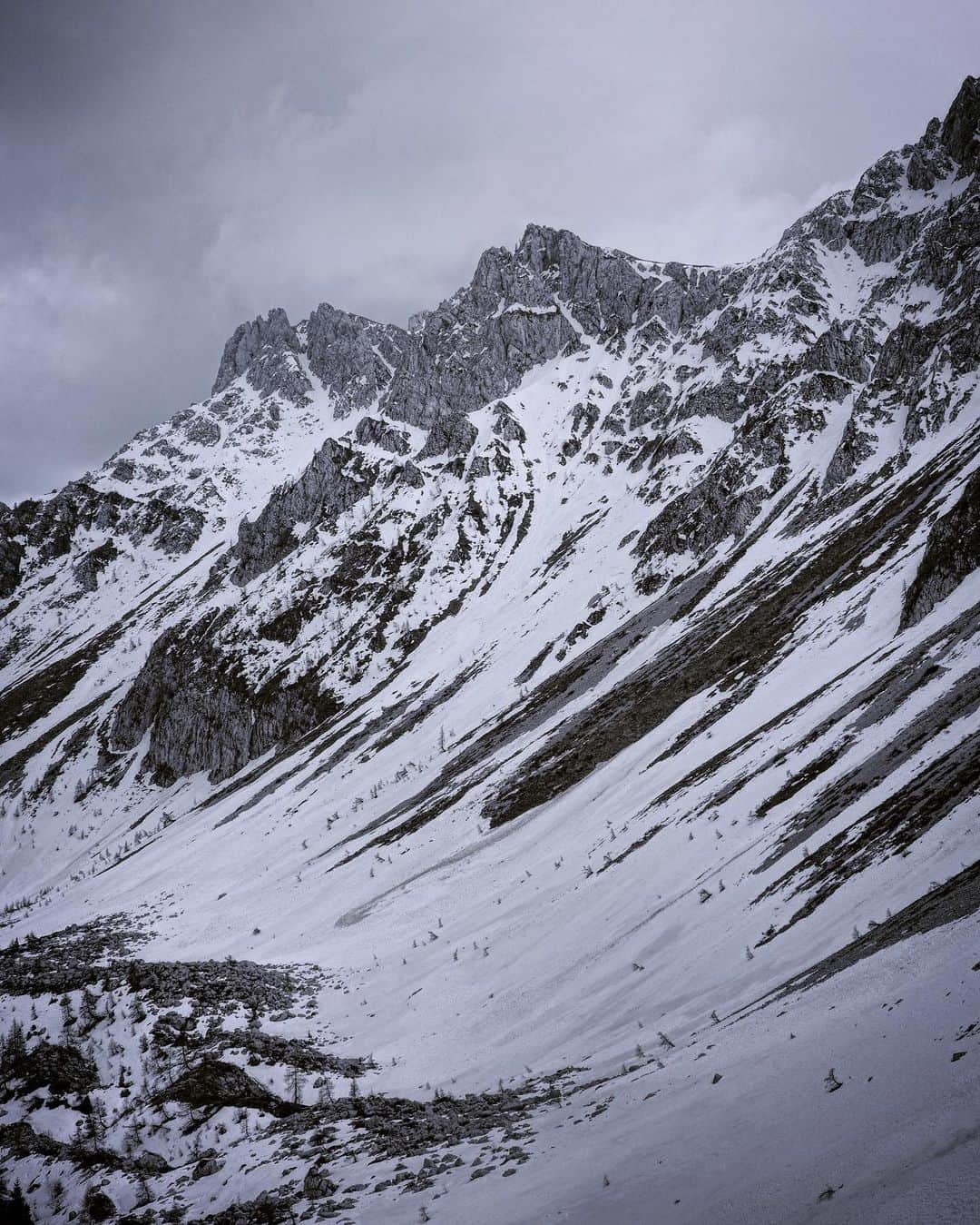 石川直樹さんのインスタグラム写真 - (石川直樹Instagram)「#AlpiOrobie Fieldwork, #CimonedellaBagozza, #Italy. Based in Bergamo, I walk around #OrobieAlps. 昨秋、今冬に続く3回目となるイタリア・オロビエアルプス探訪がスタートしました。今回は春の山。 スカルベ谷では、雪解けの隙間から、白と紫のクロッカスがあちこちで花開いていました。穏やかなよい季節。 . #lombardia#provinciabergamo#orobiebergamasche#Orobie#schilpario##valdiscalve」5月4日 13時45分 - straightree8848
