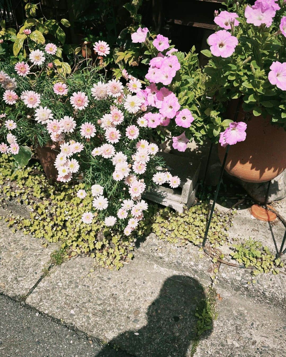 川島海荷さんのインスタグラム写真 - (川島海荷Instagram)「GWみんなは何して過ごしてる？☀︎」5月4日 13時49分 - umika_kawashima
