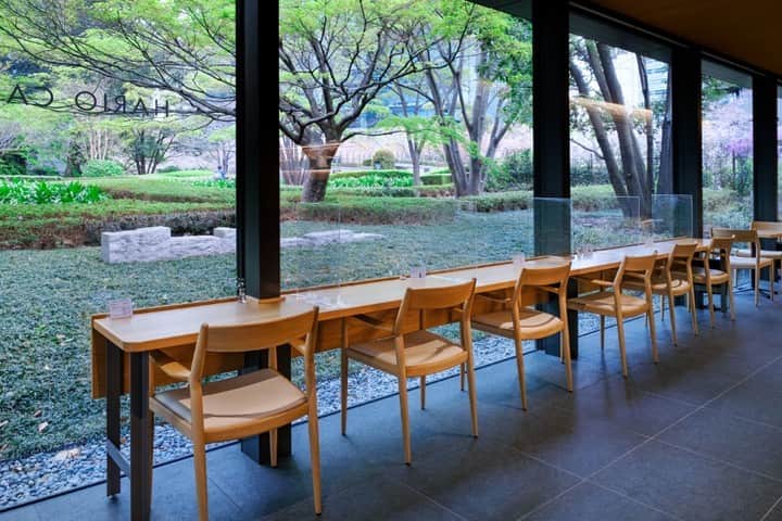 レッツエンジョイ東京さんのインスタグラム写真 - (レッツエンジョイ東京Instagram)「雨の日に行きたい！庭園カフェ3選☔☕  梅雨の時季は屋内でゆっくり過ごしたい・・・そんなときは店内から緑鮮やかな絶景を見渡せる庭園カフェで過ごすのはいかが? 新緑の季節にわざわざ訪れたくなるスポットを3つご紹介します✨  📷1～3枚目 広々とした庭園を眺めながら優美なティータイム 🔸cafe TEIEN @teienartmuseum 📍東京都港区白金台5-21-9 東京都庭園美術館 新館1階 🚉目黒 ※カフェのみの利用不可  📷4～6枚目 雨の日は緑がより鮮やかに！美術館併設のカフェ 🔸HARIO CAFE 泉屋博古館東京店 @hariocafe_senokuhakukokan 📍東京都港区六本木1-5-1 🚉六本木一丁目  📷7～9枚目 しっとりと濡れた苔庭の眺めが非日常へと誘う 🔸茶洒 金田中 @sahsyakanetanaka 📍東京都港区北青山3-6-1 oak omotesando2F 🚉表参道  #レッツエンジョイ東京 #おでかけ #おでかけスポット #デート #デートスポット #cafeteien #庭園美術館 #東京都庭園美術館 #美術館カフェ #庭園カフェ #目黒カフェ #hariocafe #ハリオカフェ #六本木カフェ #泉屋博古館東京 #sahsyakanetanaka #茶洒金田中 #表参道カフェ #カフェ巡り #カフェ巡り東京 #カフェ好きな人と繋がりたい #カフェ部 #カフェ好き #tokyocafe #カフェ時間 #カフェ好き女子 #休日カフェ #雨の日 #雨の日の過ごし方」6月2日 19時02分 - lets_enjoytokyo