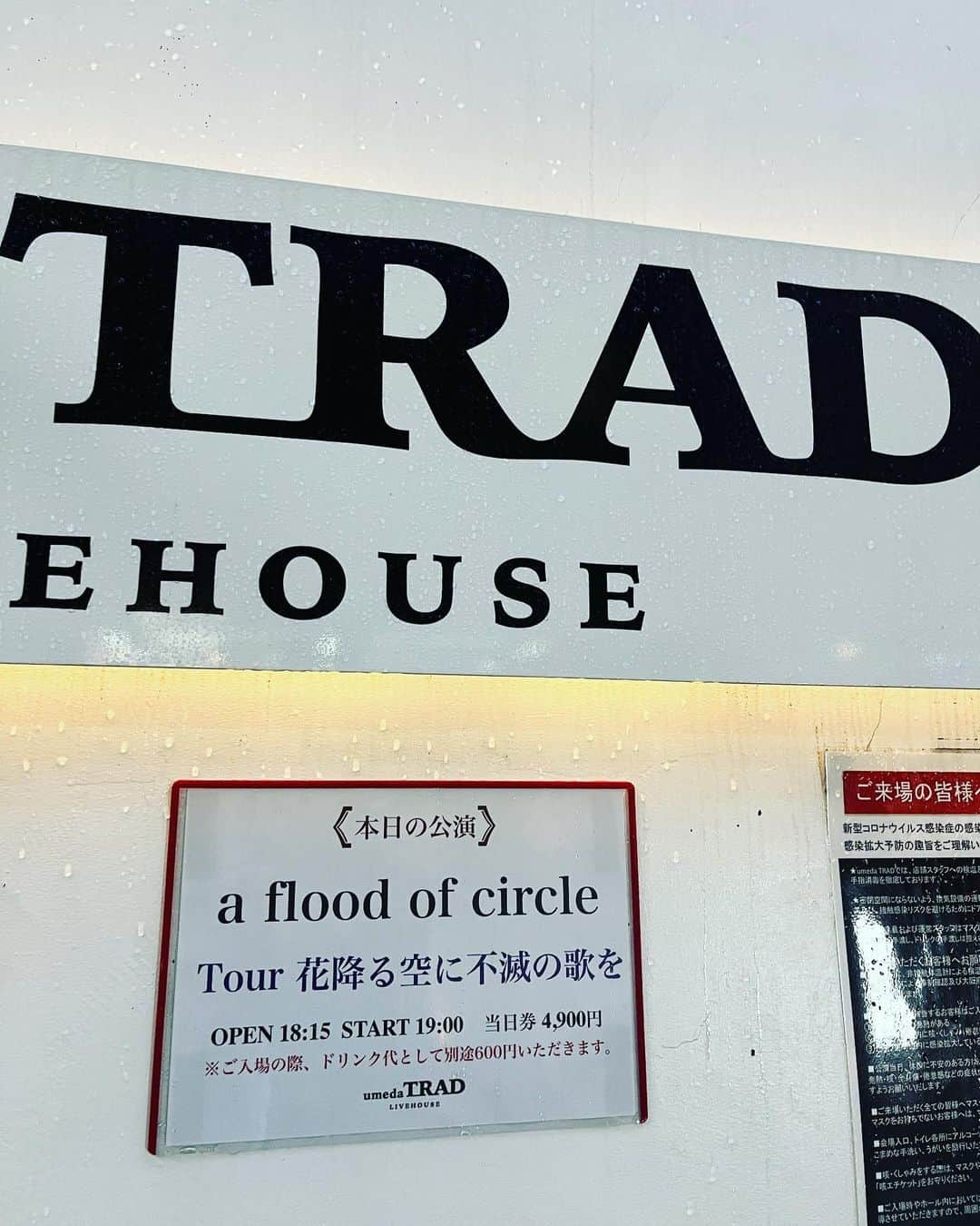 タケモトコウジのインスタグラム：「またTRADに来てる俺。  今日はa flood of circle。」