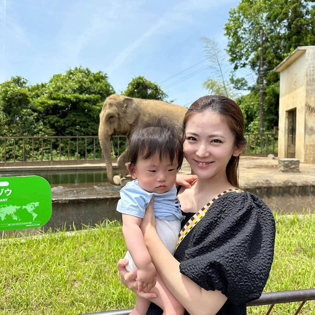 姫野れみのインスタグラム：「動物園にも🐘🩶 娘が大好きなので帰省したら必ず行きます♡ ゾウをじーっと真剣にみていたボク👦🏻 カメラは全然見てくれません😅」