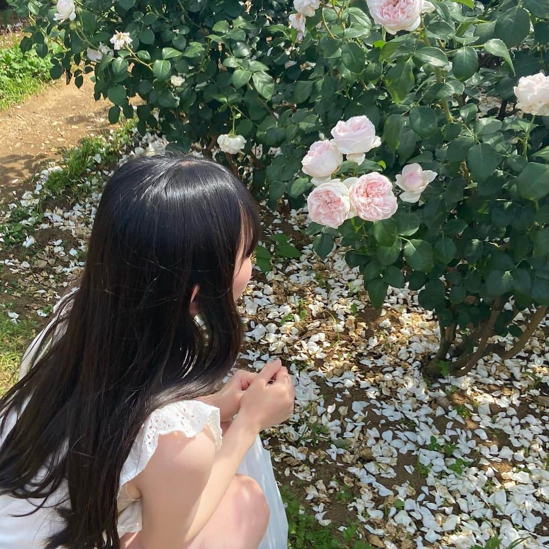 遠藤璃菜さんのインスタグラム写真 - (遠藤璃菜Instagram)「幼なじみとバラ園に行ってきました🌹  とっても広くてバラの匂いいっぱいで癒されました  そしてバラソフトクリームが美味しかった！！！！   #バラ園  #京成バラ園」6月2日 18時23分 - e_rina_ta