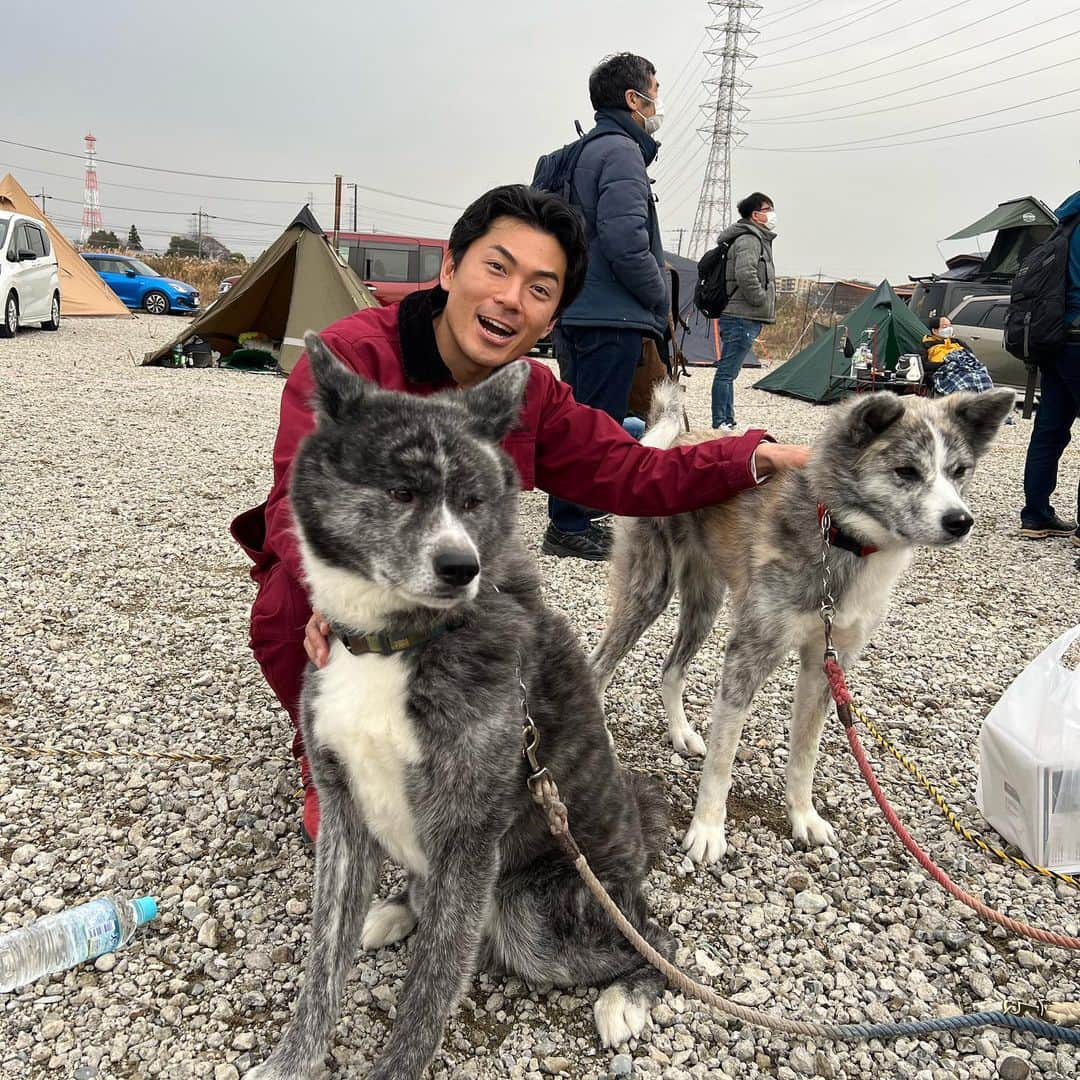 たけだバーベキューさんのインスタグラム写真 - (たけだバーベキューInstagram)「【今週のイッヌ】 ポメラニアンのたむくん3歳 秋田犬6歳と7歳 コーギーのラッキーくん3歳 オーストラリアンシェパードのキバくん5歳 @aussiekiba  ダウンを着たミニチュアピンシャー シェットランド・シープドッグ . #今週のイッヌ #ポメラニアン #秋田犬 #コーギー #オーストラリアンシェパード  #ミニチュアピンシャー  #シェットランドシープドッグ  #犬 #イッヌ #今週どころではない #ちなみに #キバのフォロワーは #裕に10万人を超える」6月2日 18時23分 - takeda_bbq