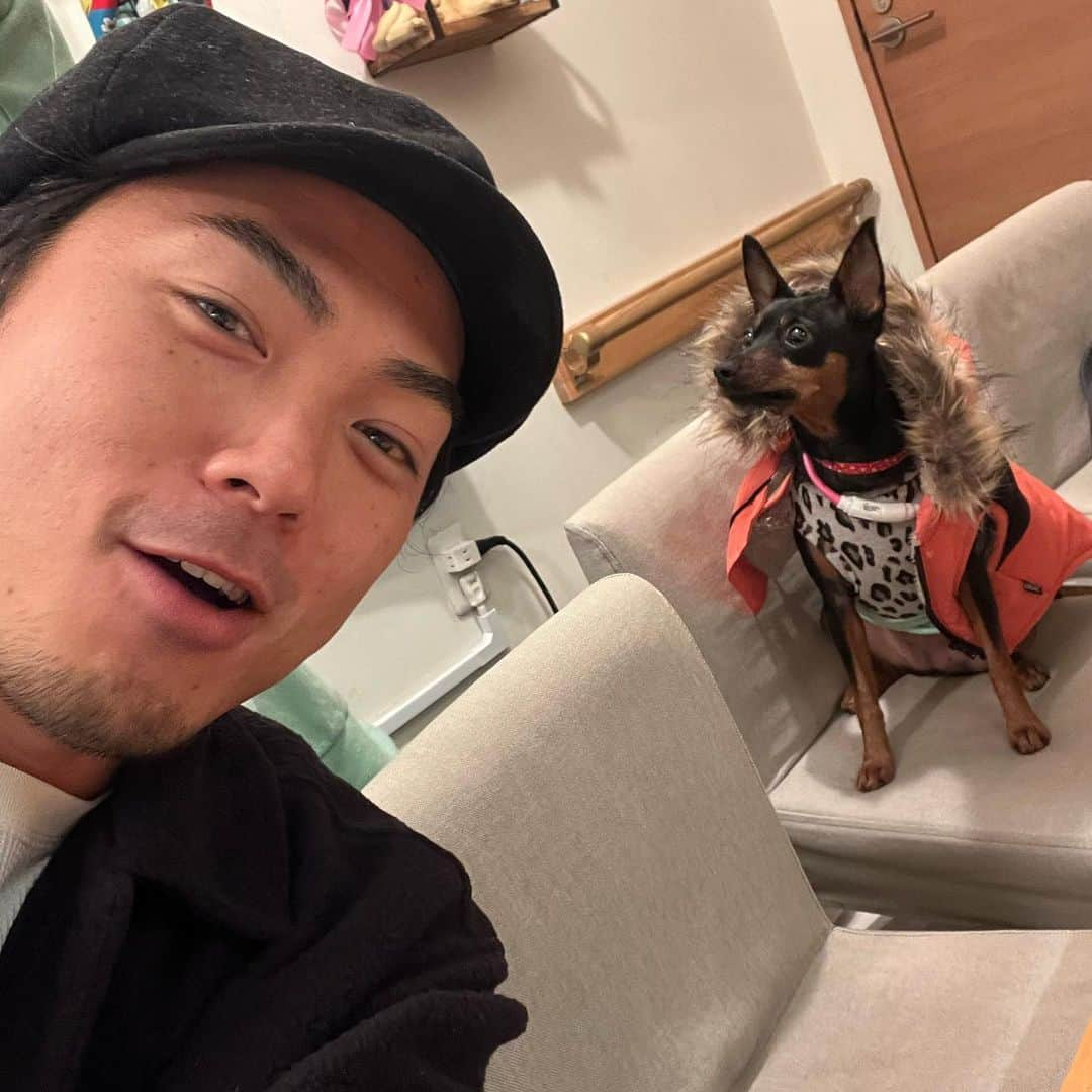 たけだバーベキューさんのインスタグラム写真 - (たけだバーベキューInstagram)「【今週のイッヌ】 ポメラニアンのたむくん3歳 秋田犬6歳と7歳 コーギーのラッキーくん3歳 オーストラリアンシェパードのキバくん5歳 @aussiekiba  ダウンを着たミニチュアピンシャー シェットランド・シープドッグ . #今週のイッヌ #ポメラニアン #秋田犬 #コーギー #オーストラリアンシェパード  #ミニチュアピンシャー  #シェットランドシープドッグ  #犬 #イッヌ #今週どころではない #ちなみに #キバのフォロワーは #裕に10万人を超える」6月2日 18時23分 - takeda_bbq