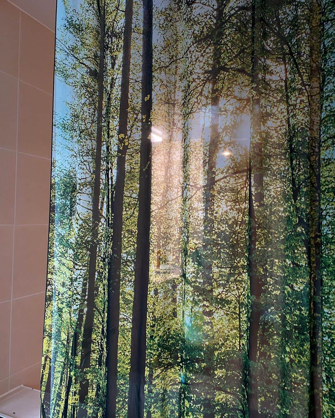 パン・ソヨンさんのインスタグラム写真 - (パン・ソヨンInstagram)「안방숲 숲안방 🌿🌳🍀🌱🪴 안방 = 좋아하는것만 모아놓은 방」6月2日 11時05分 - banso