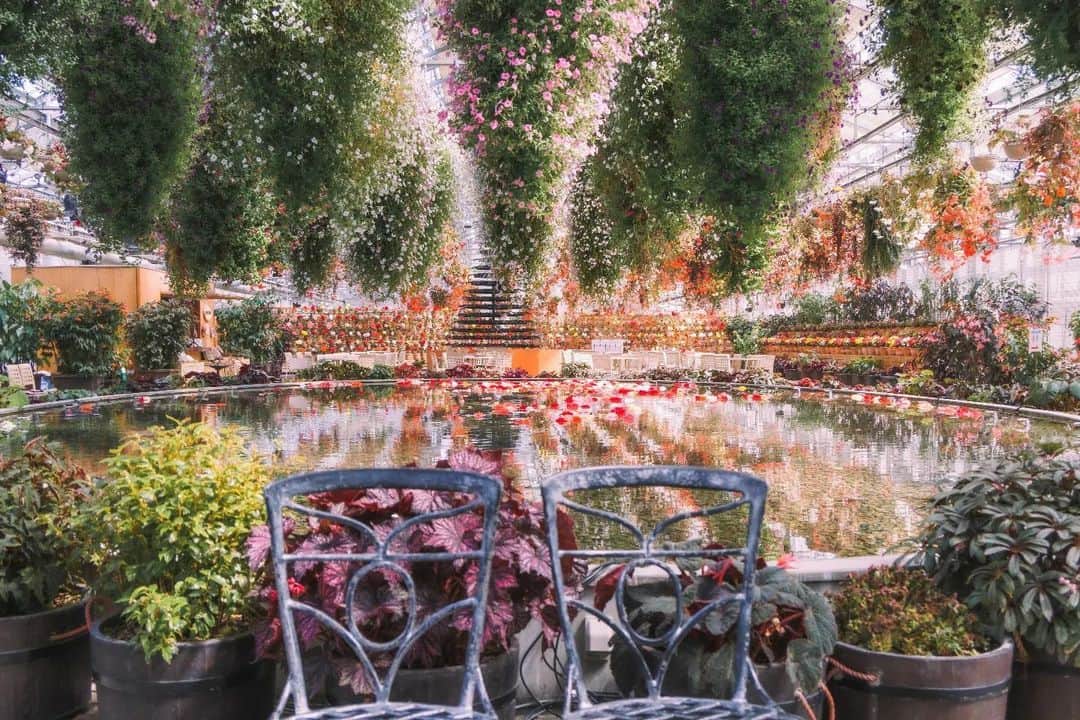 のインスタグラム：「⁡癒しの空間 Photo by @yunomi_1105 https://buff.ly/3ONqSDz . ＼ユーザーのみなさまの作品を紹介中／ . EOS M200・M100・M10に限らず、すべてのCanonのカメラで撮影された写真や動画に、指定のハッシュタグをつけて投稿いただいた作品をシェアさせていただきます！ . ▽指定ハッシュタグはこちら #LIFEwithCAMERA + #機材名 （例：#eosm200、#eosr10、#powershotg7xmk3など） . （※）紹介させていただく際は事前にご連絡はいたしませんのでご了承ください。 （※）投稿いただく写真に使用される著作物、肖像については、ご本人が著作権を有するもの、又は権利者から事前に使用承諾を得たものであるものとします。ご投稿いただく写真に関して万一問題が生じた場合は当事務局は責任を負いかねますことご了承ください。 . Canonのカメラの詳細は、本アカウントのプロフィール（ @canon_eosm ）にあるURLからご覧ください。 . #eosr10 #r10 #LIFEwithCAMERA #LIFE_with_CAMERA #カメラのある生活 #Canon #キヤノン #EOS #powershot」