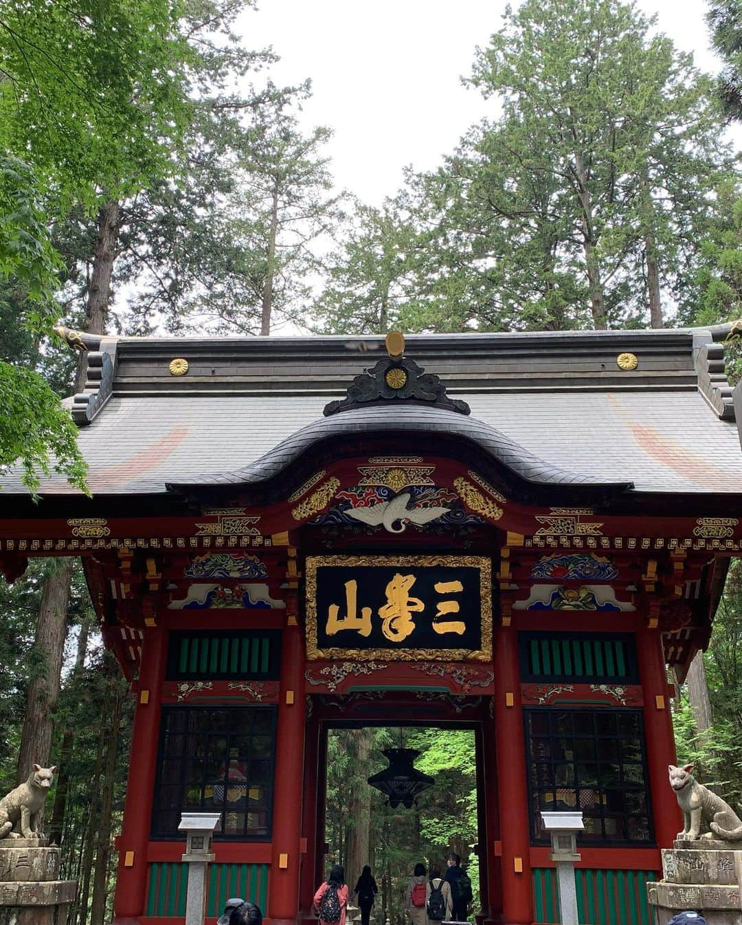 小松利昌のインスタグラム：「三峯神社参拝。 やっと来れました。 峰々を臨む、霊験あらたかな氣にに満ちた場所。 先々月の伊勢神宮に続き、50代の始まりは神様への御礼参りから始まっております。  三峯神社の狛犬は、狼でした。  #三峯神社」