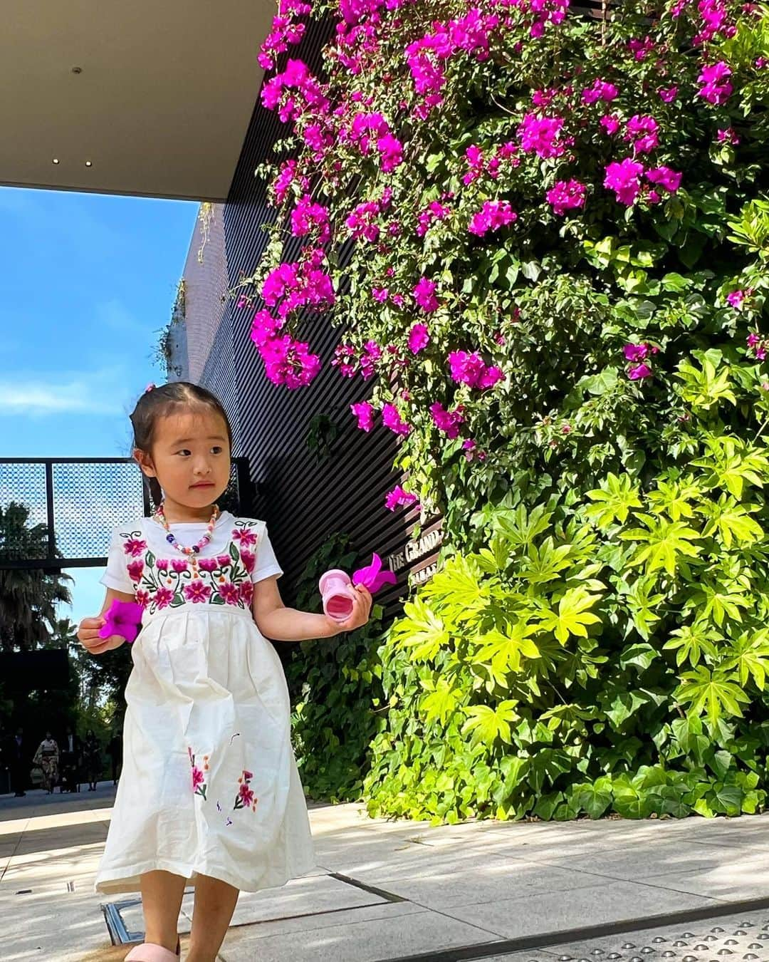 来夏のインスタグラム：「#💟 あっという間に3歳半👧  こないだ初めての参観日で 沢山覚えた歌や踊りを披露してくれて それだけでうるうる感動🥹  まだ数ヶ月と思っていたけれど 子どもたちの吸収力の速さ..！！  運動会とか爆泣き決定だなー😭😂  @paula.mama.0406 からもらった お下がりの👗がお花にマッチして可愛かった🌺  #サスティナブル #3歳6ヶ月  #女の子ママ #思い出グラム」