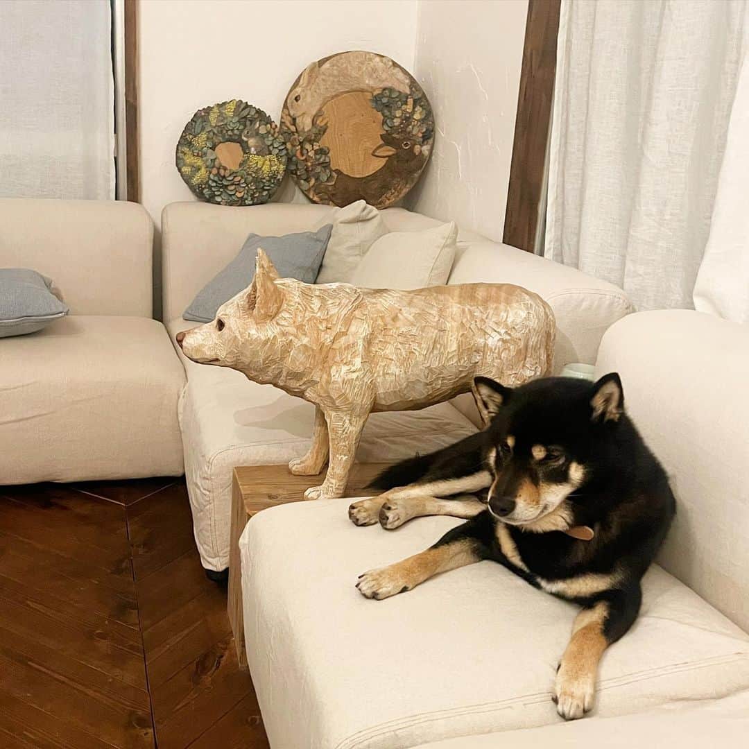 はしもとみおのインスタグラム：「きみはぼくのともだち  #黒柴月くん#woodcarving #woodworking #woodsculpture #sculpture #shibainu #shibastagram #shiba #japanesedog #miohashimoto#柴犬」