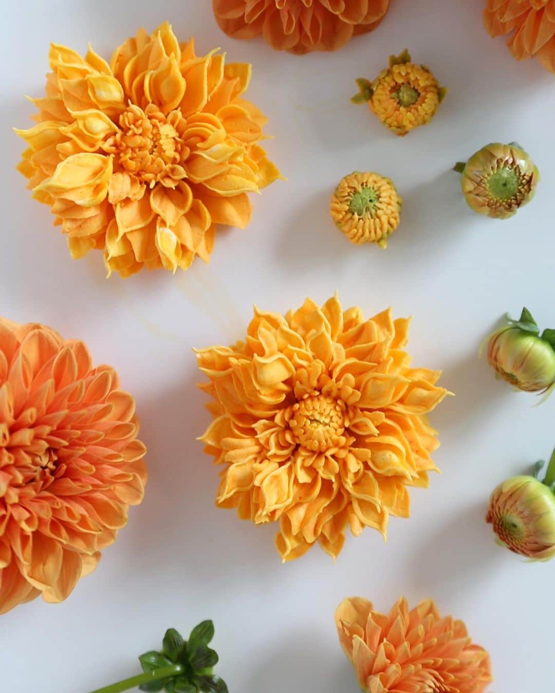 청담 수케이크 (atelier soo)のインスタグラム：「ㅡ Dahlia 👋 Italian meringue buttercream  #flowercake #cake #Dahlia #partycake」