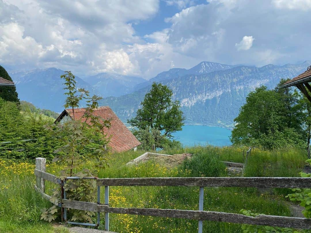 北川桜さんのインスタグラム写真 - (北川桜Instagram)「北川桜 から スイス 写真が届きました🇨🇭  思わず深呼吸したくなります✨ 少しづつアップしていきますね！  また配信も行いたいと言っておりますので　またこちらもお知らせします📢 　 #ヨーデル #北川桜 #スイス #国際交流 #自然保護 #絶景 #自然」6月2日 12時49分 - sakura_edelweissmusikanten