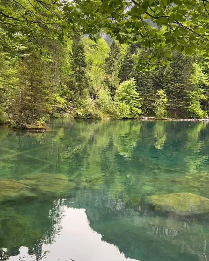 イ・ダヘのインスタグラム：「우리의 바베큐는 블라우제 호수에서도 계속됐다.. #bbqlovers #blausee #1급수 #숭어」