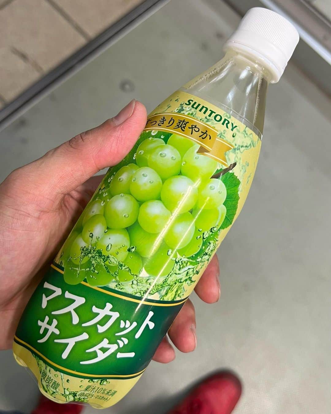 靖乃のインスタグラム：「なかなか酷い天候ですなぁ@東京 本日は池袋にてアコースティックライブですが、皆様くれぐれも気をつけてお越し下さいませ‼️  このマスカット、美味🌹  #靖乃 #ハイダンシークドロシー #淡路島 #ピン毛」