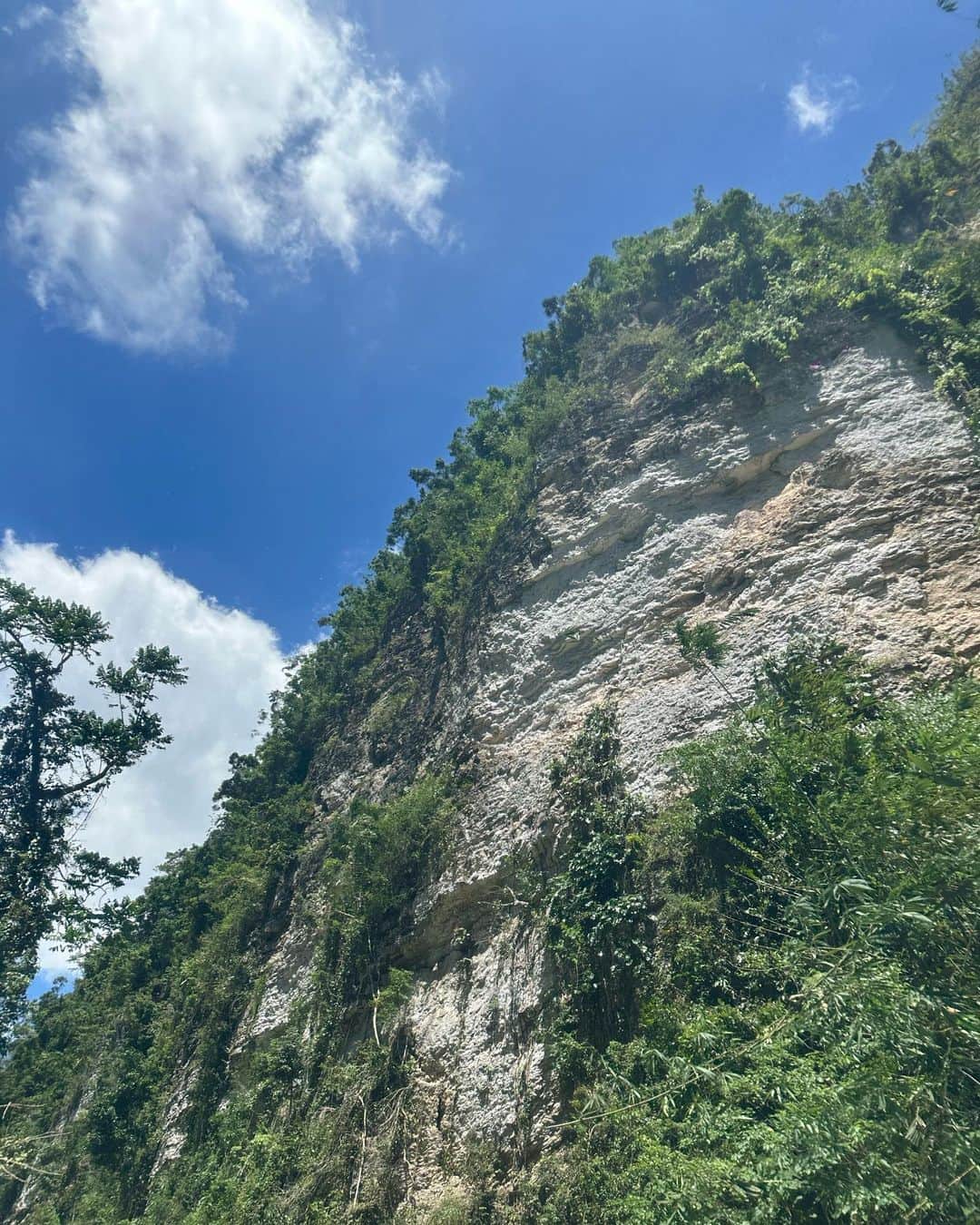 黒木桃子さんのインスタグラム写真 - (黒木桃子Instagram)「まだまだ旅投稿続けますが、お付き合い下さい🫶  #canyoning #kawasanfalls #カワサンの滝 #キャニオニング #フィリピン #セブ #ひとり旅 #旅好き #アウトドアアクティビティ」6月2日 13時28分 - momoko_nagano