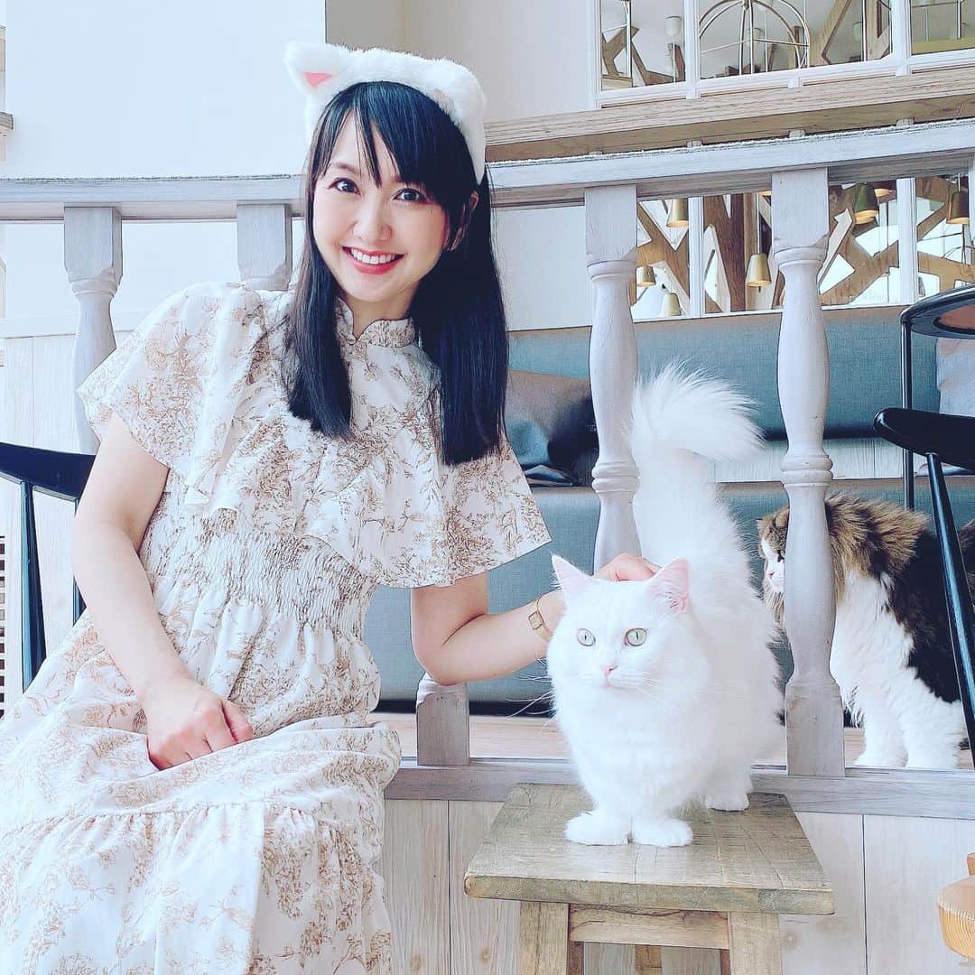 三浦泉のグルメインスタ