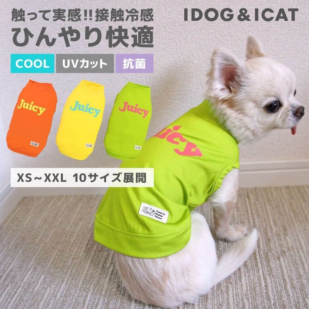 iDog&iCatさんのインスタグラム写真 - (iDog&iCatInstagram)「暑さ本番!!になる前の今こそ試してほしい。 IDOG&ICATのひんやり快適、冷感機能ウェア【COOL Chill】(クールチル)の対象商品が期間限定クーポンを使うと10％OFFに!!  快適温度が続いて心地いい。COOL Chillウェアをぜひお試しあれ♪  #iDog #IDOGICAT #iCat #犬の服 #犬服 #ペットウェア #犬の服iDog #犬 #うちの子優勝 #わんすたぐらむ #dog #チワワ #トイプードル #ミニチュアダックス #柴犬 #ペット用品 #犬との暮らし #キャンペーン #ペット用品 #セール #ひんやり #冷感 #COOLChill #COOL #暑さ対策」6月2日 13時43分 - idogicat