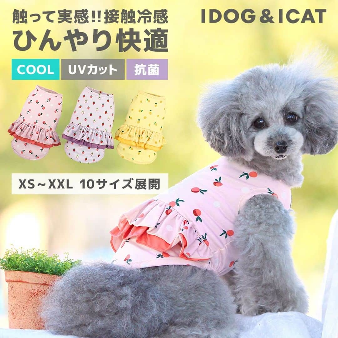 iDog&iCatさんのインスタグラム写真 - (iDog&iCatInstagram)「暑さ本番!!になる前の今こそ試してほしい。 IDOG&ICATのひんやり快適、冷感機能ウェア【COOL Chill】(クールチル)の対象商品が期間限定クーポンを使うと10％OFFに!!  快適温度が続いて心地いい。COOL Chillウェアをぜひお試しあれ♪  #iDog #IDOGICAT #iCat #犬の服 #犬服 #ペットウェア #犬の服iDog #犬 #うちの子優勝 #わんすたぐらむ #dog #チワワ #トイプードル #ミニチュアダックス #柴犬 #ペット用品 #犬との暮らし #キャンペーン #ペット用品 #セール #ひんやり #冷感 #COOLChill #COOL #暑さ対策」6月2日 13時43分 - idogicat