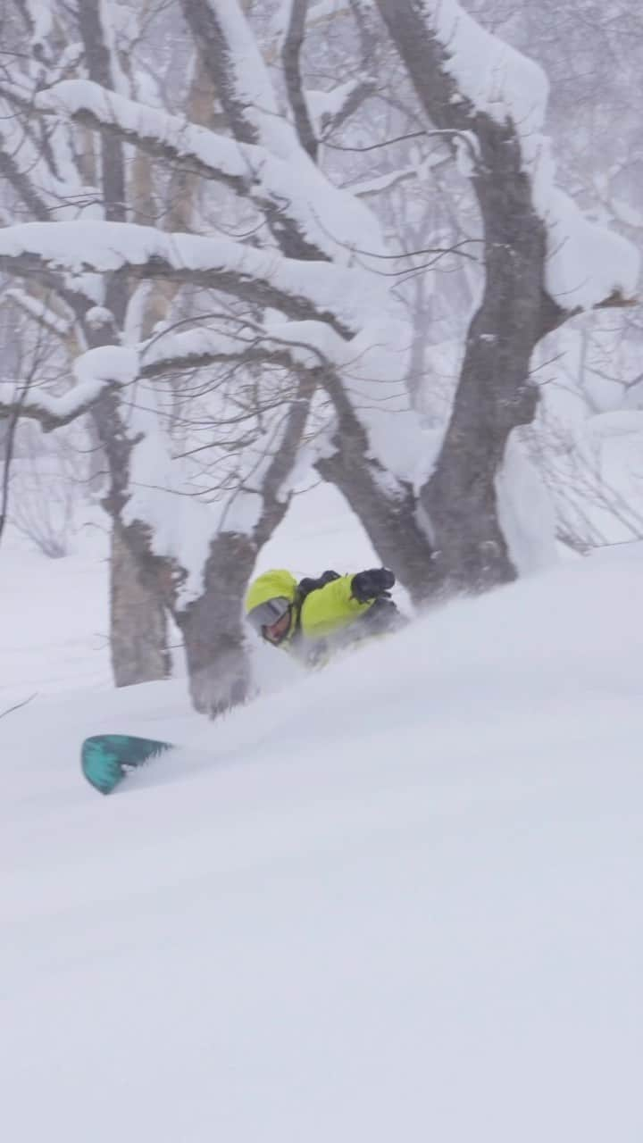 佐藤亜耶のインスタグラム：「木々の中を自在に🌲 Rider @aya_sato_49 🎥 @heart_films  @thenorthfacejp @msrgear_japan @k2.snowboarding @dragon_japan #snowboarding #treeruns #japow #スノーボード #パウダースノー #ツリーラン  Heart Films Movies https://heartfilms.official.ec/」