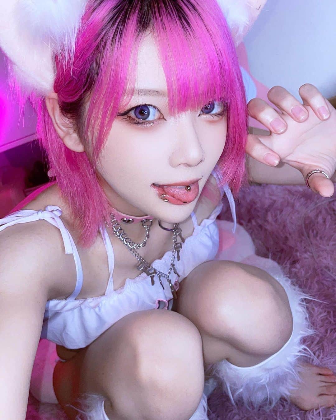 ぽにょ皇子のインスタグラム：「飼ってくれよฅ•ω•ฅ  #cosplay #cosplayer #cosplaygirl #コスプレ #コスプレイヤー #グラビア #dj #ポートレート #portraitphotography #portrait #pink #Japanese #自撮り #pink #ピンク」