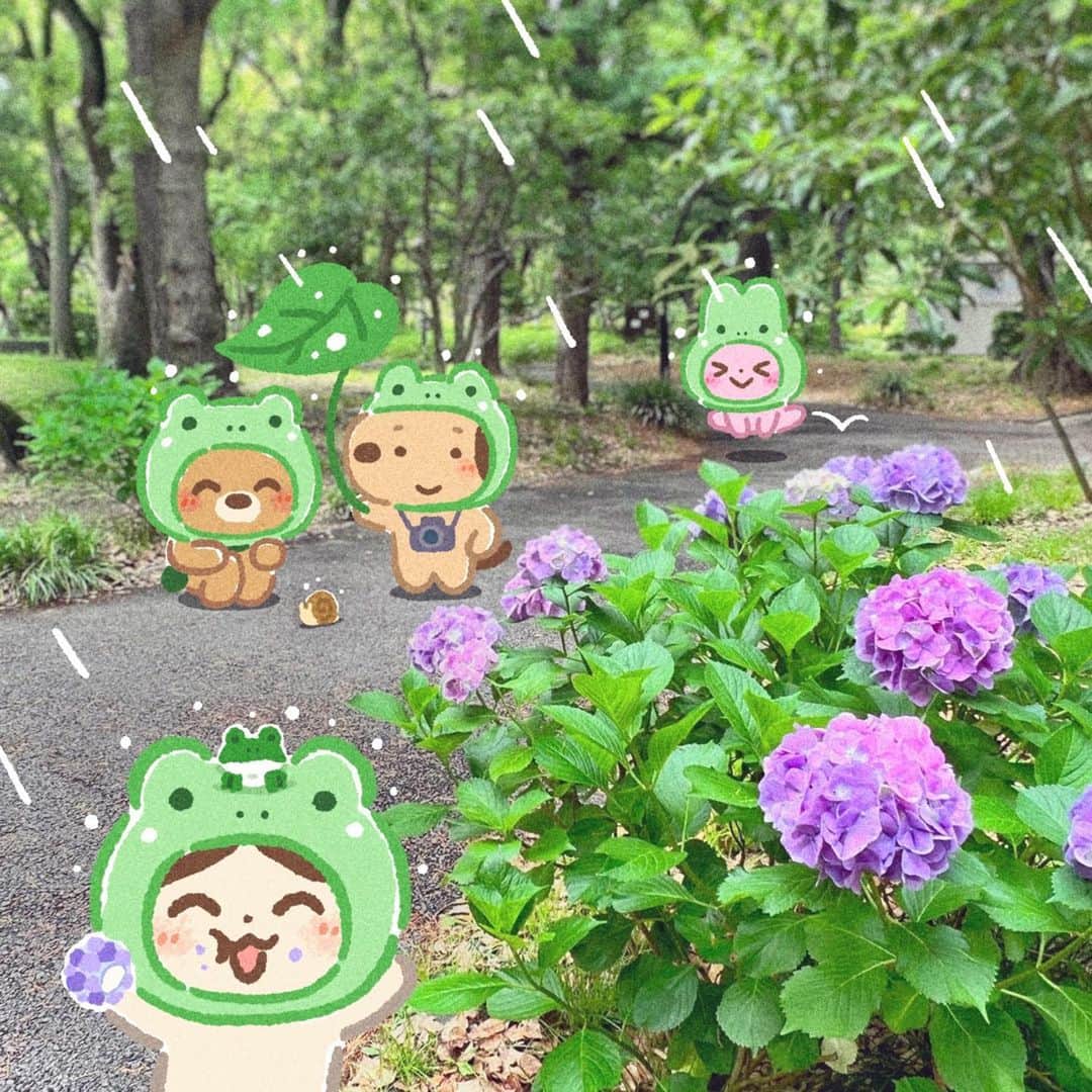 みふねたかしのインスタグラム：「雨すごい… 外にいる方お気をつけて！  #梅雨 #紫陽花 #いぬが撮った写真」