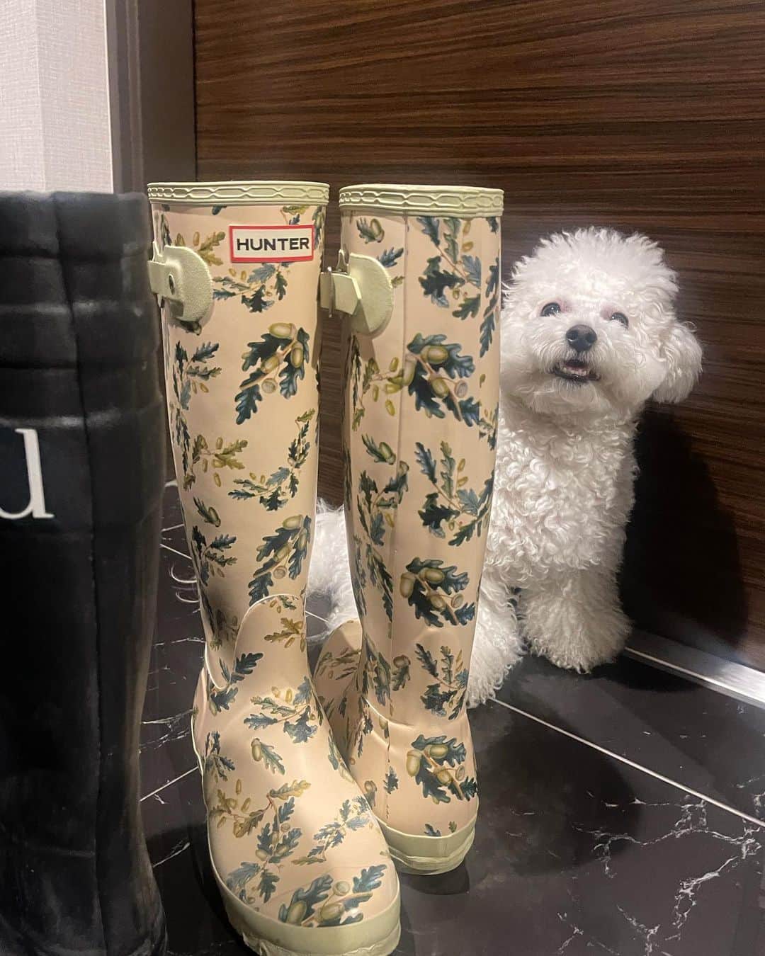 YUYUのインスタグラム
