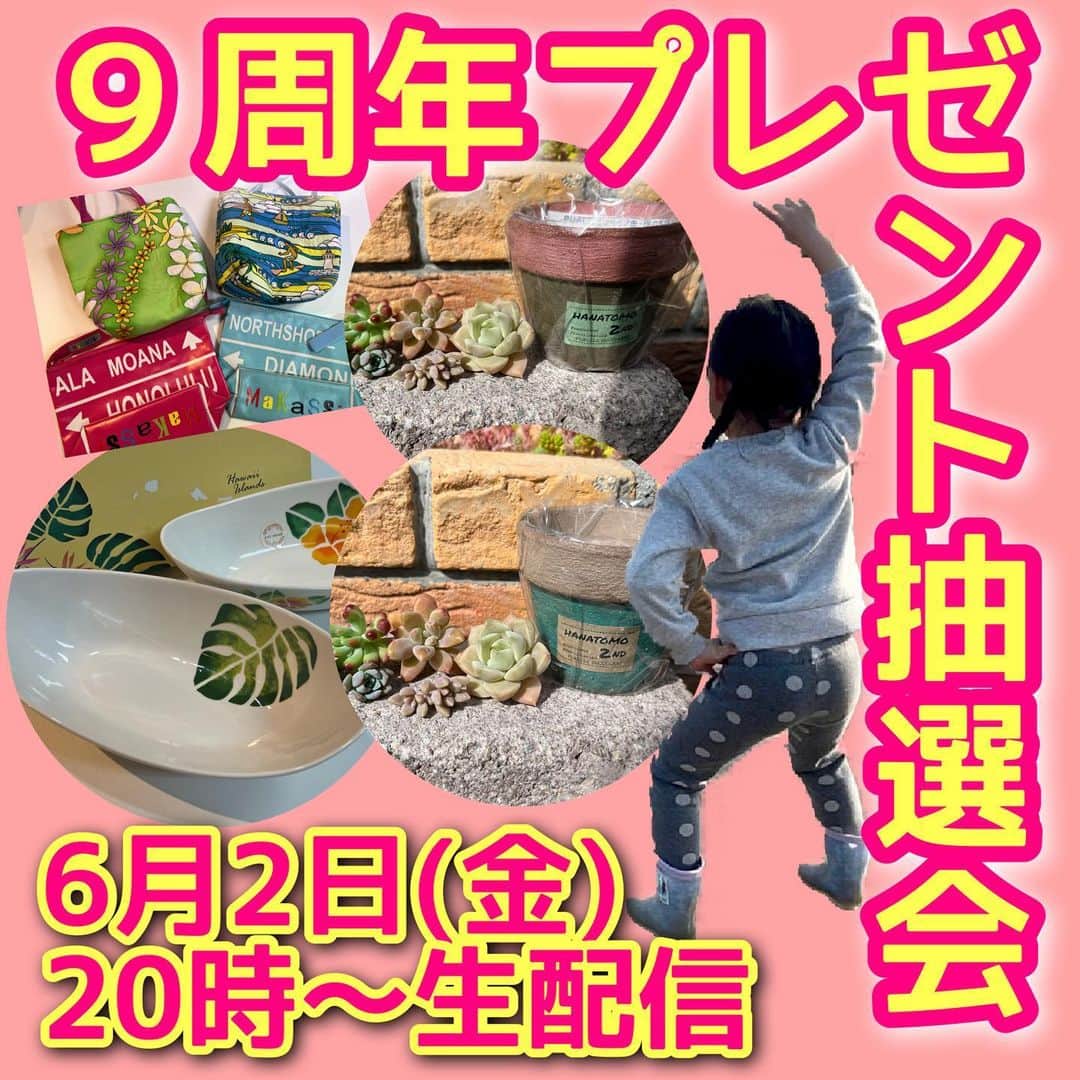 古本新乃輔のインスタグラム：「さてさて、 皆様、お待ちかねの AlohaticShop PUALILI　９周年記念 プレゼント抽選会です！  公平を期するため、 ウチの愛娘が抽選します！ (ま、毎度のことですが)  で、抽選会のあとは、 皆さんと勝手にウラ呑みしちゃいますよ！  https://youtube.com/live/WxJZF8CdWP0 #YouTube  #しんのす家  #生配信  #古本新乃輔」