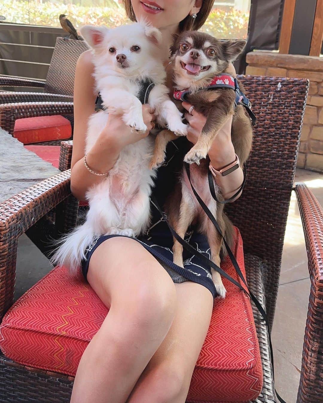 坂井雪乃さんのインスタグラム写真 - (坂井雪乃Instagram)「I love you guys🐶❤️❤️  ちびらもにこにこで一緒にお出かけが楽しくて幸せ🥰✨✨  #yukino_travels  #yukino_vegas  #dog #dogsofinstagram #dogoftheday #doglover」6月2日 14時32分 - yukino_sakai